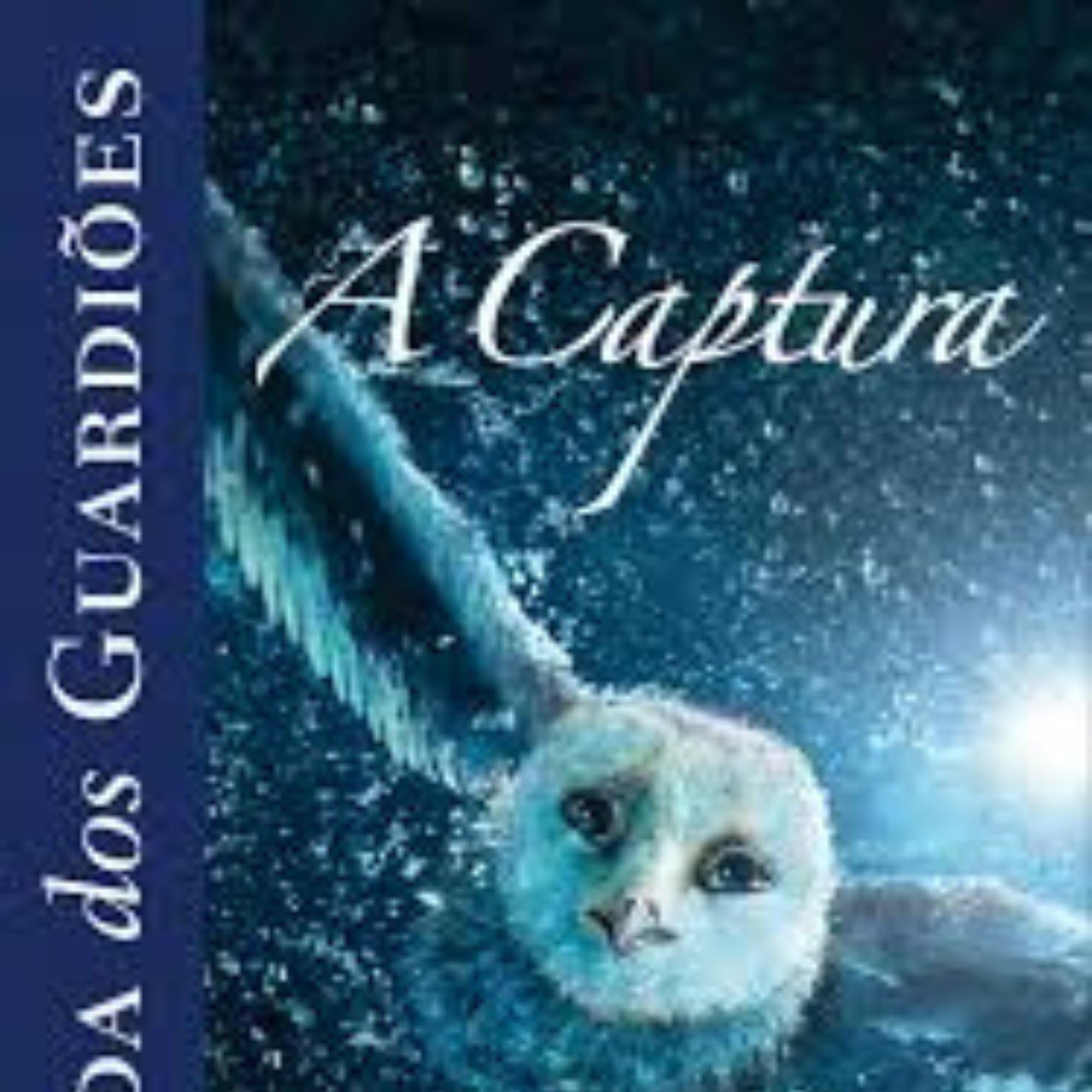 Capa do livro A Captura